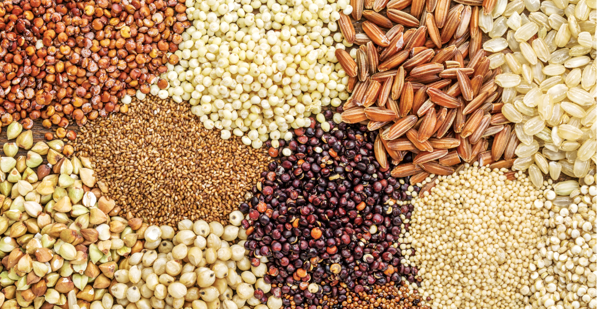 Grains 