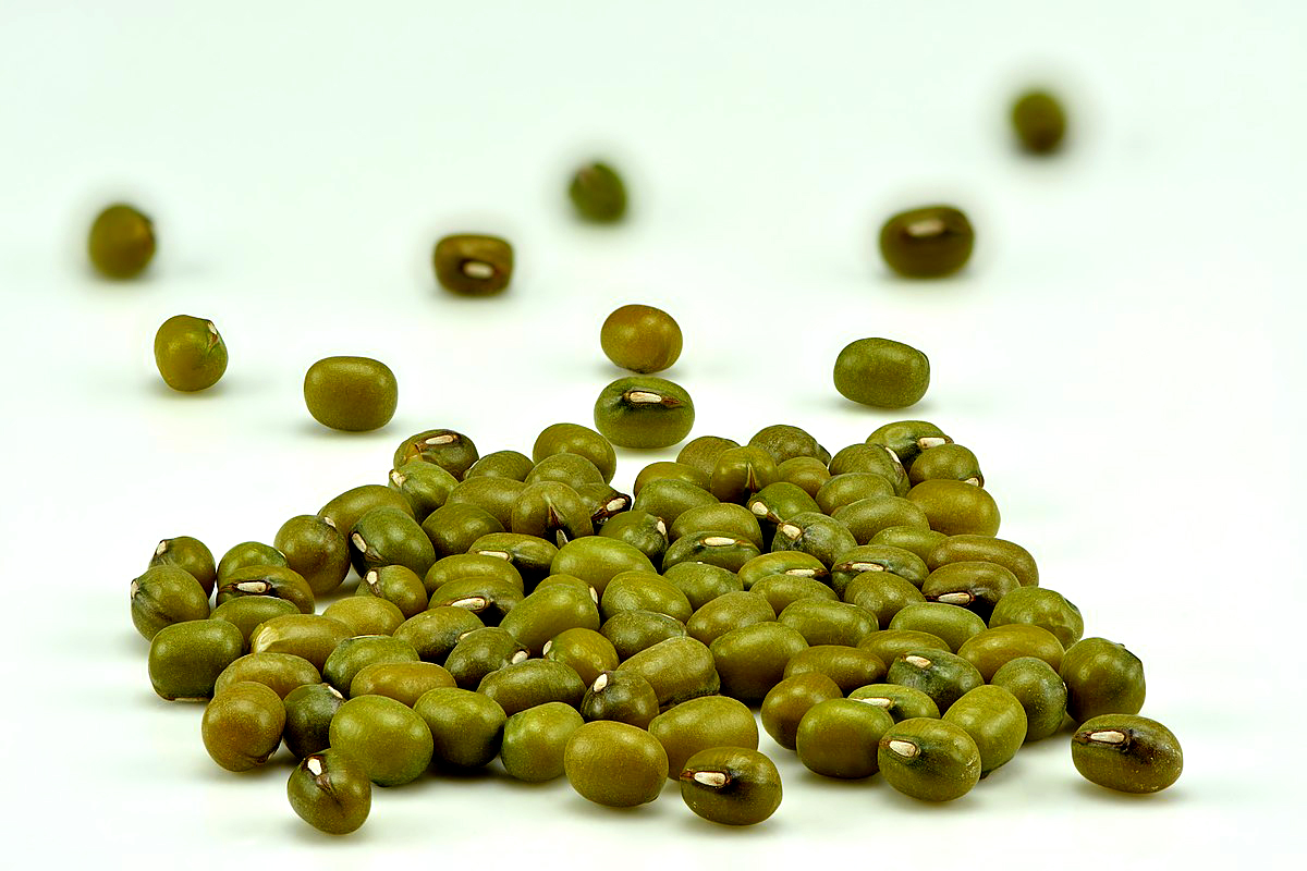 Green Moong ( हरियो मुंग ) 1 Kg